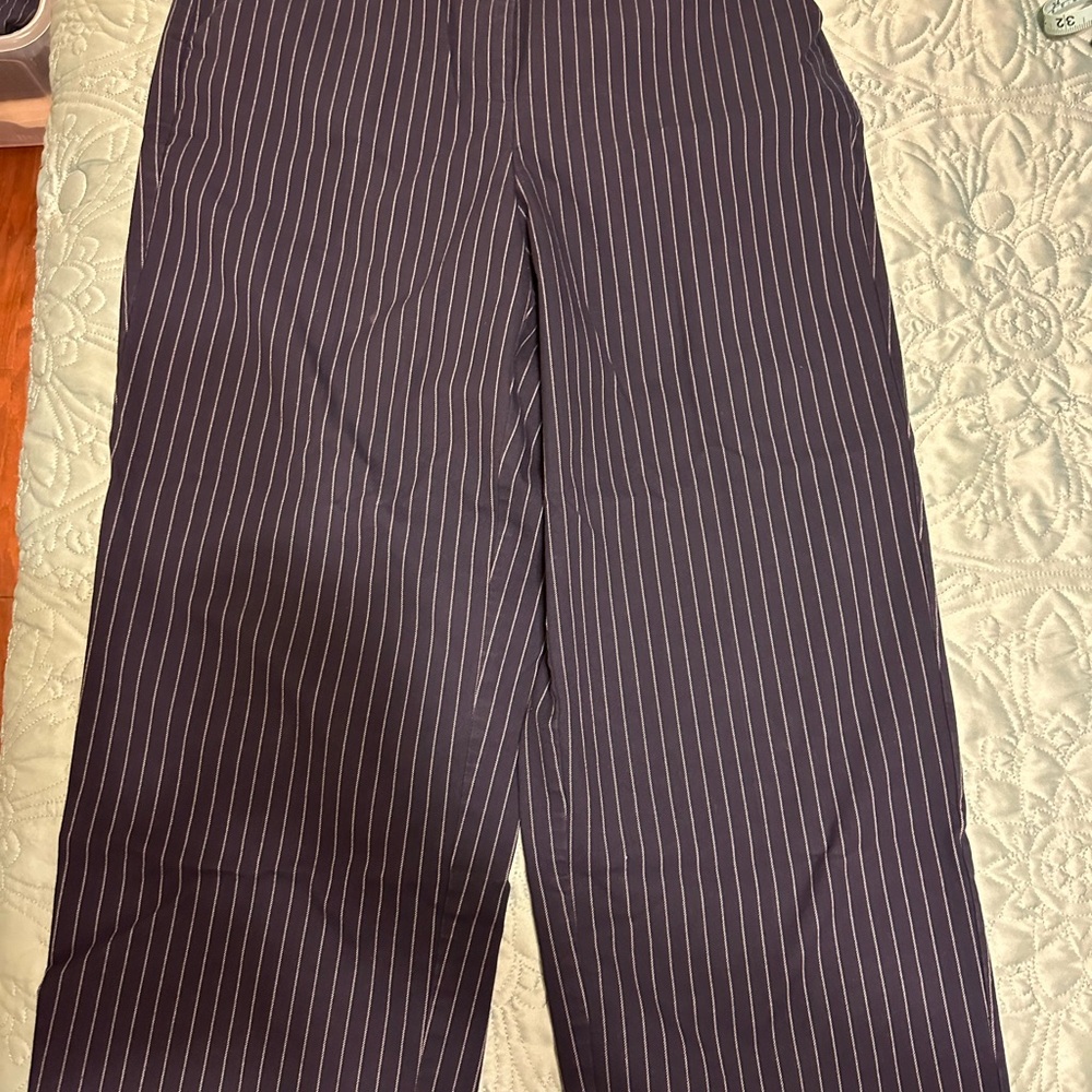 Lane Bryant women’s Navy Pinstripe Pants Bin4